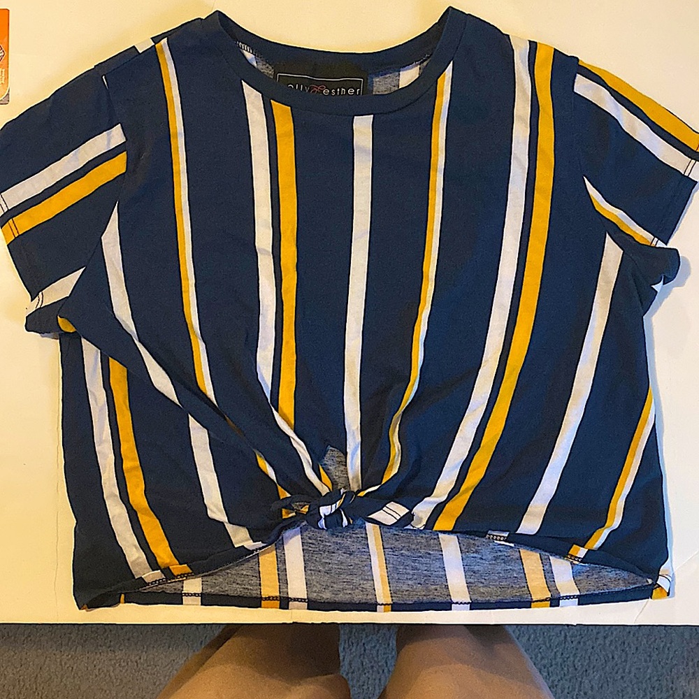Dark Blue Striped Cropped T-Shirt